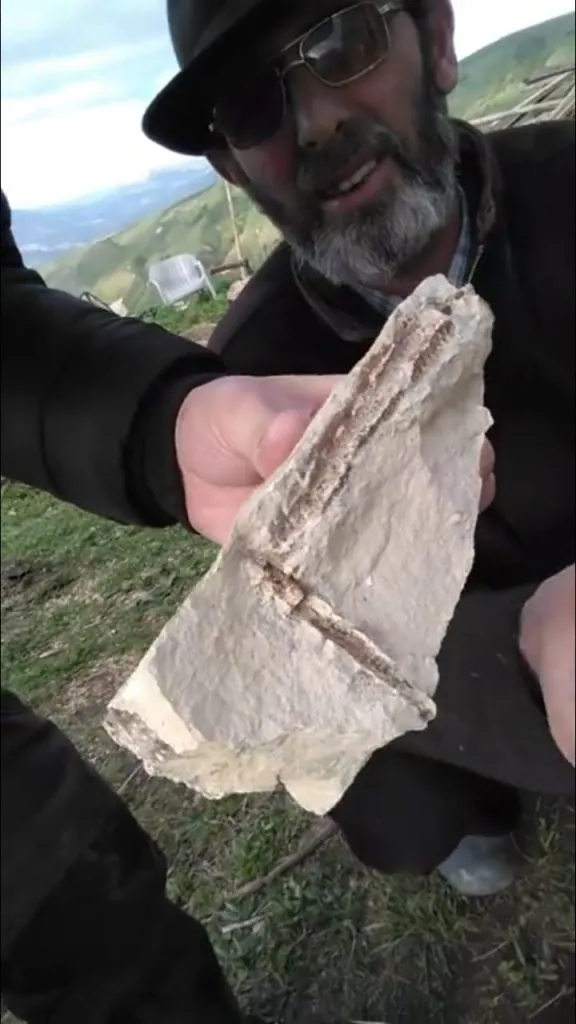 Это изображение имеет пустой атрибут alt; его имя файла - whatsapp-image-2021-01-31-at-13.26.19-576x1024.jpeg